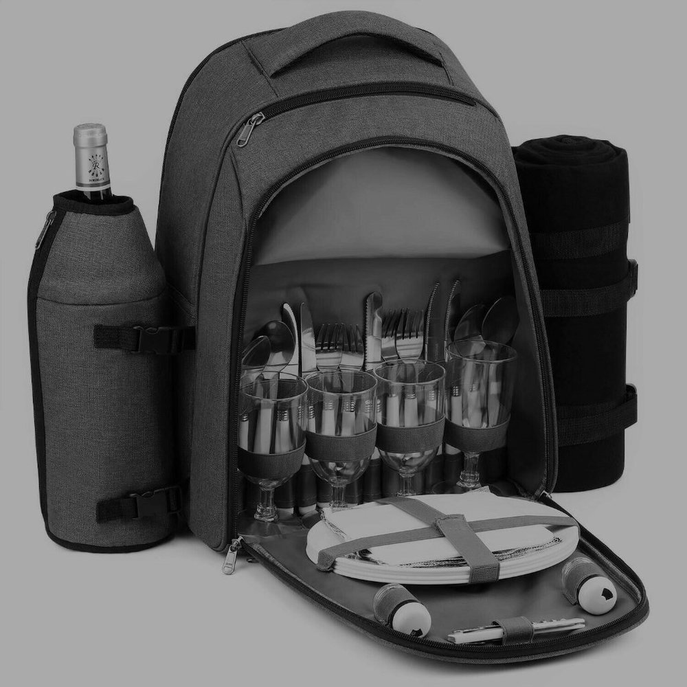 Gonex Picnic Backpack Set for 4 Luxury Wine